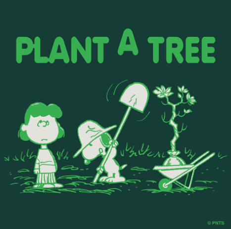 Plant a Tree, Peanuts Drawing