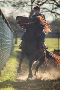 Boy riding horse