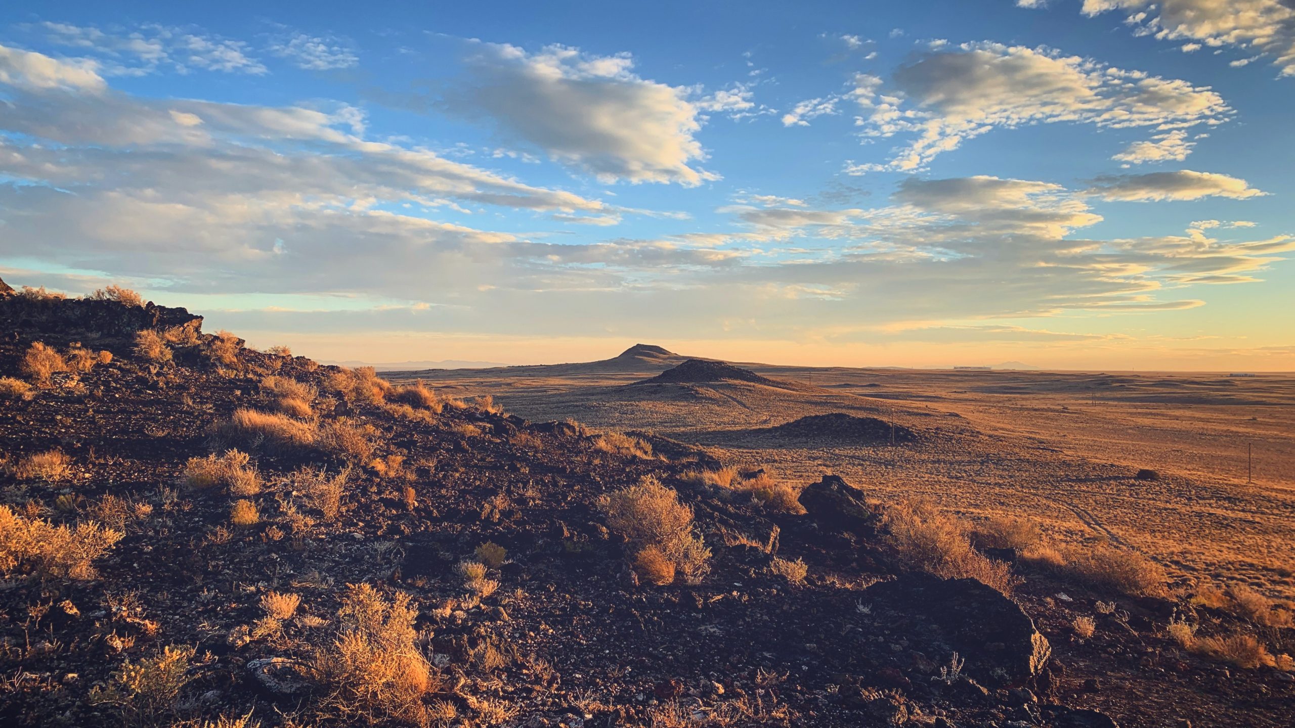 Desert landscape