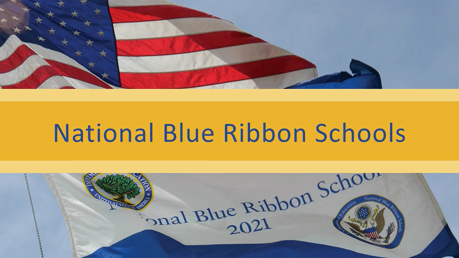 Blue Ribbon Schools flag banner