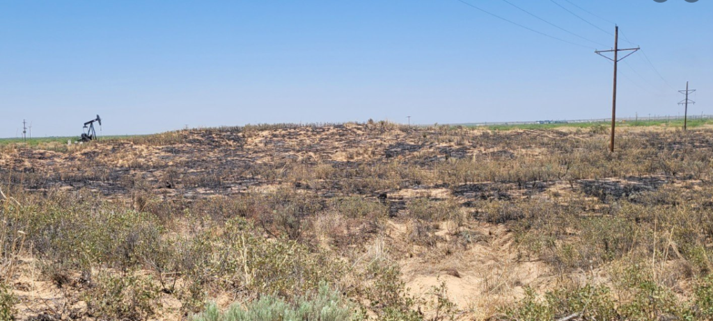 Lea County Maddox Road Fire