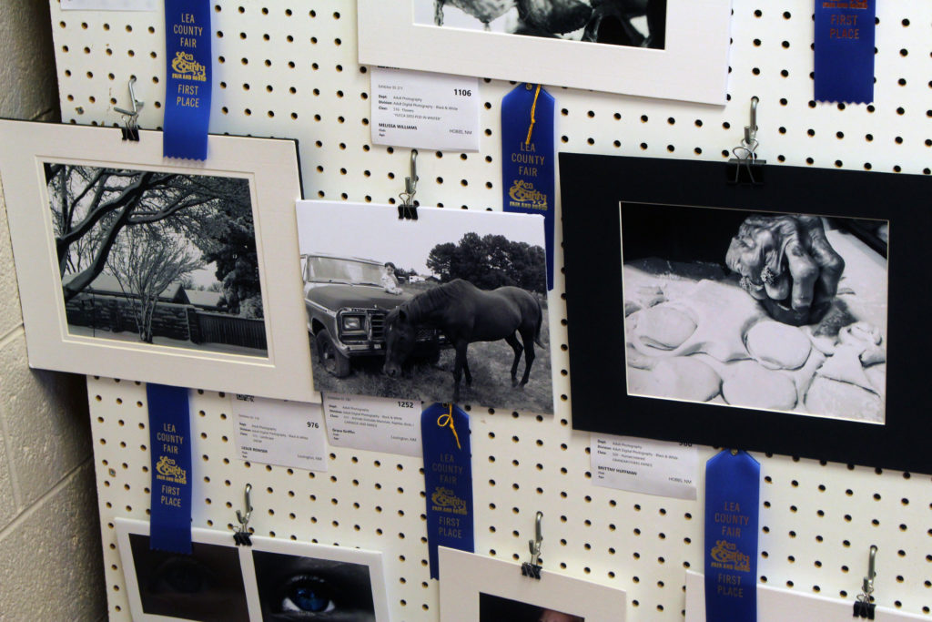 Photo entries at the Lea County Fair & Rodeo