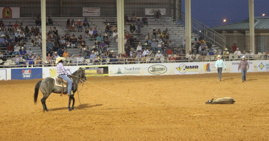 Man on horse with steer roped at Lea County Fair & Rodeo
